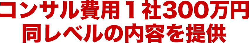 コンサル費用１社300万円同レベルの内容を提供